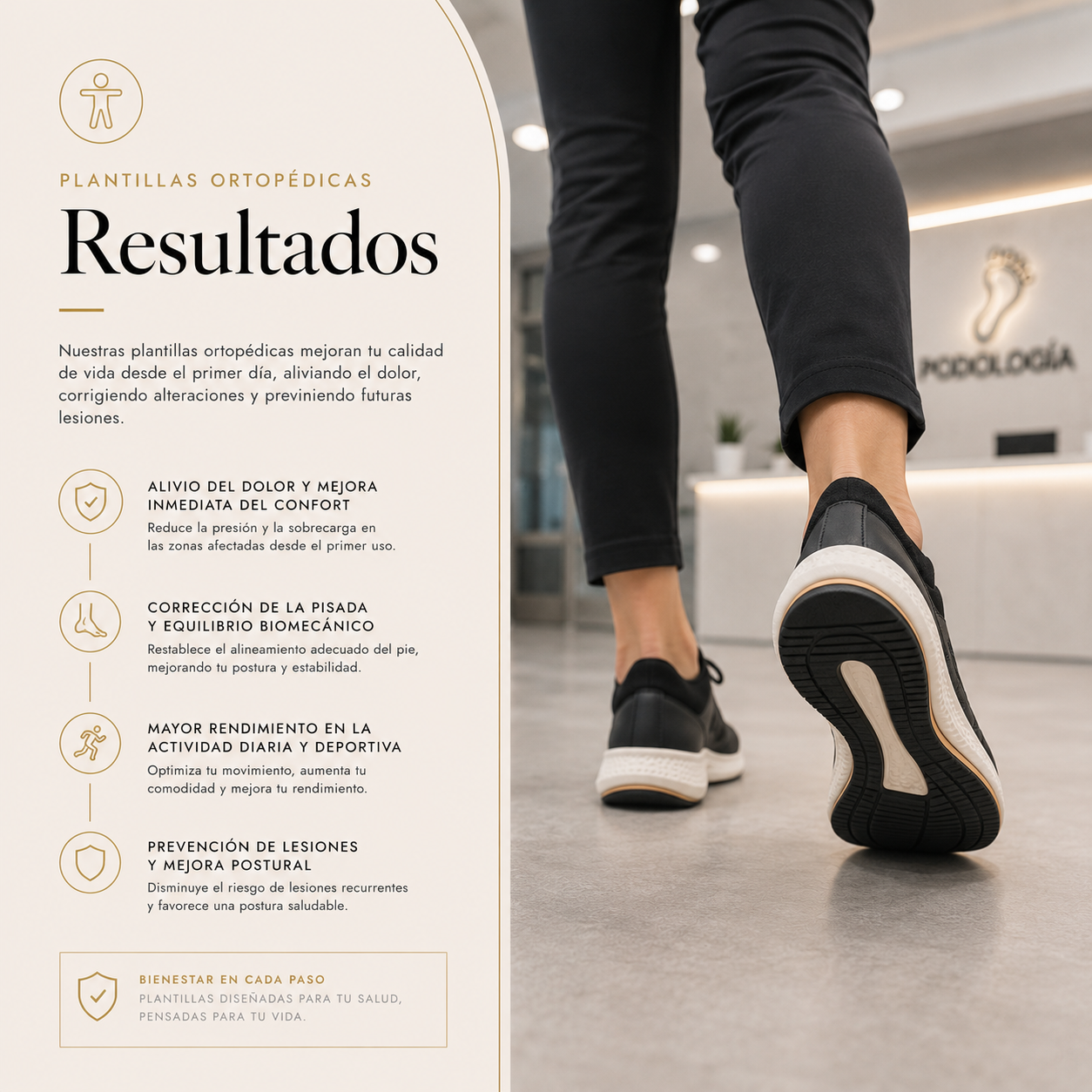 Plantillas resultado